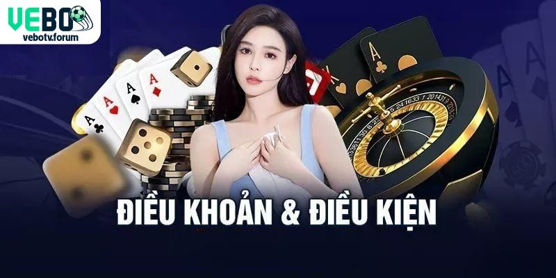 Các điều khoản điều kiện dịch vụ dành cho hội viên ở VeboTV