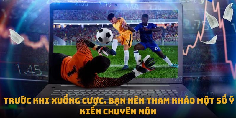 Trước khi xuống cược, bạn nên tham khảo một số ý kiến chuyên môn