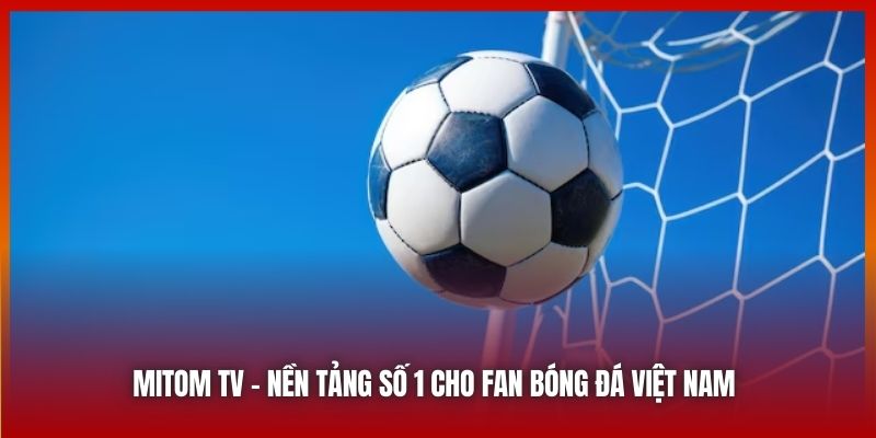 Đảm Bảo Bảo Mật Và An Toàn Thông Tin Của Mitomtv.futbol