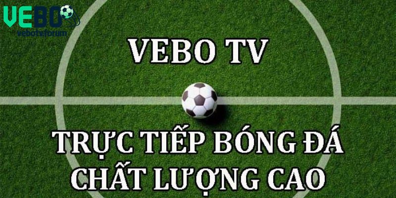 Tổng quan chính sách tuyển dụng vebotv