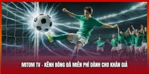 Mitom TV: Kênh Thể Thao Của Người Hâm Mộ Bóng Đá Việt Nam